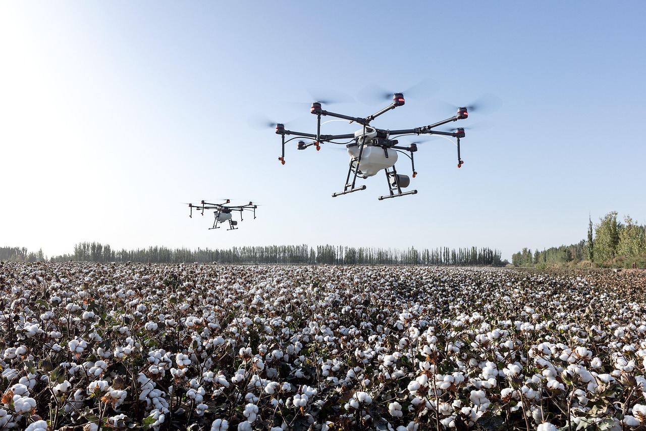 Drone Agriculture Services