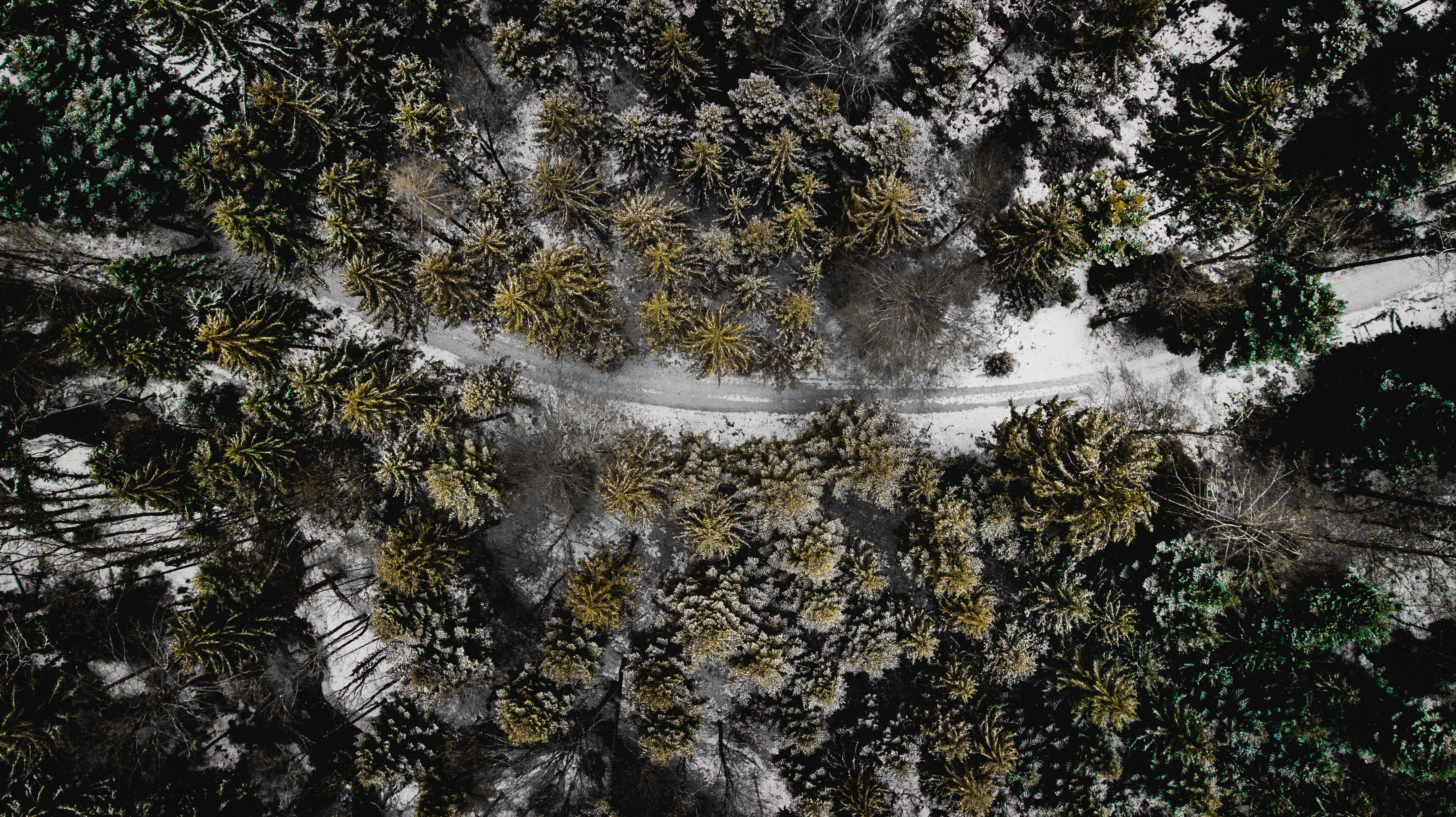 Drone Mapping & Surveying Services